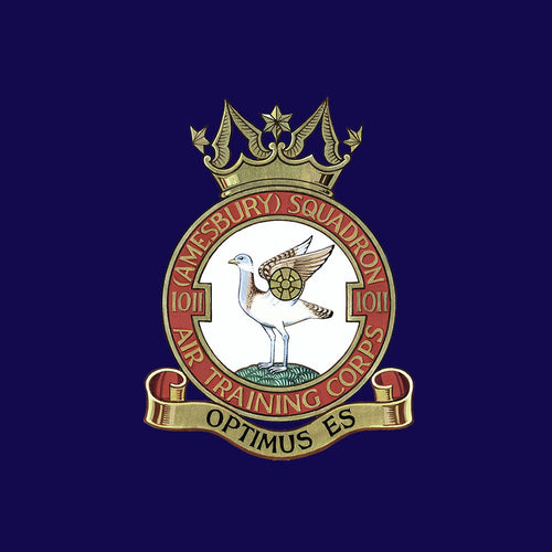 Amesbury Air Cadets