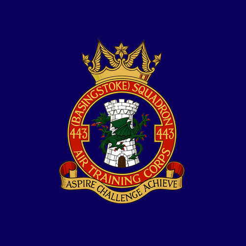 443 Basingstoke Squadron RAFAC