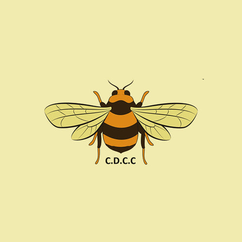Combe Down Cricket Club